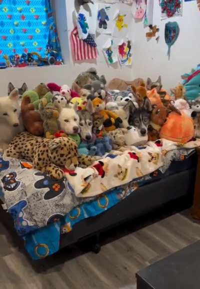 Saw this on my Rentiod's Tiktok, what should I do kings? 