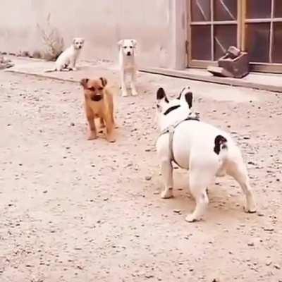 Look at Mr. Tough Guy now