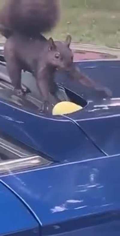 This looks to be a good spot