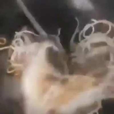 MMM YES DELICIOUS FOOD