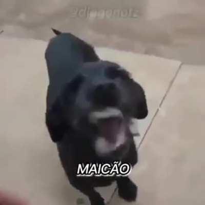 Tropa do ximbinha 🥶🥵