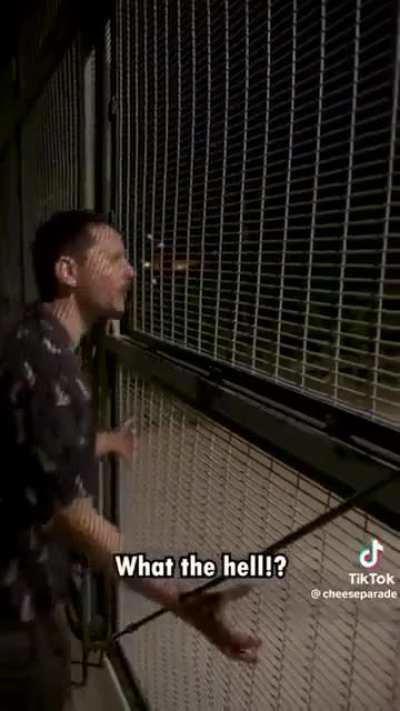 A totally normal br- HOLY CHEES!