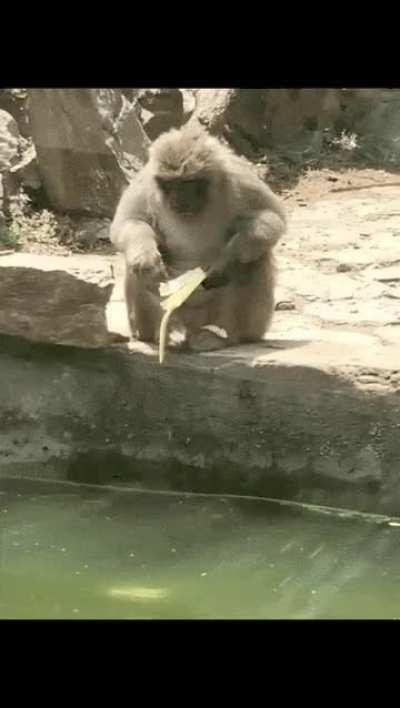 Oh f*** my banana!! its gone !!! Oh, It's really gone!!! Oh nooo...🙈🙈🙈