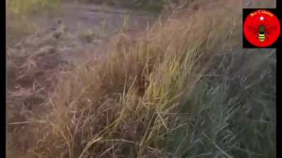 (Myanmar/Burma) Rebels belonging to the Bee Column attack pro-junta Pa-O National Army fighters in Yaepu, Nyaungshwe Township, Shan State [February 16]