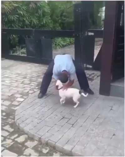 A perfect fit for this sub