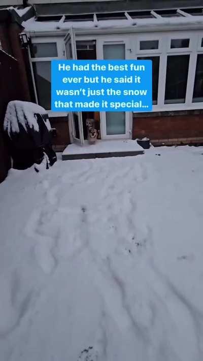 A Rescued Thai street dog sees snow for the first time