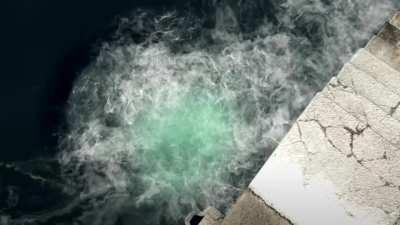 The many misfortunes of Goro Majima