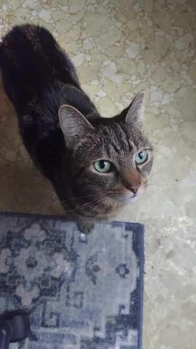 Antiwork Maximus. This is the frequency and manner in which he protests, from the moment I sit at my desk until I leave it.