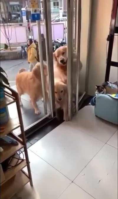 Let's go boys. They have snacks