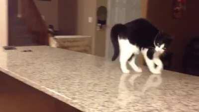 You want a piece of this?