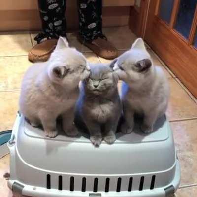 Любовь это...