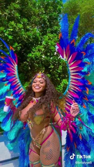 Brialyse8 nips and slips