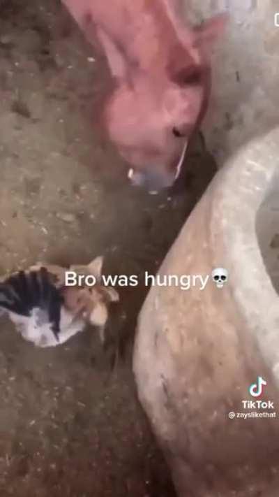 I'm assuming this is not the first time this has happened