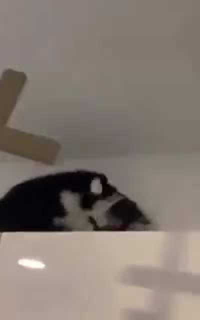 Feeling unsafe right now