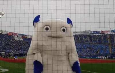 MRW I go by the pet store at the mall