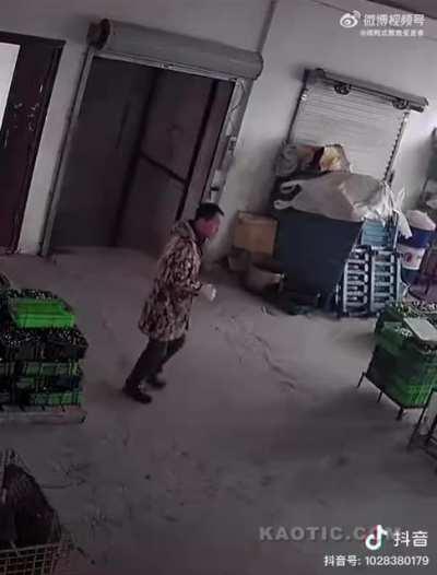 Overloaded elevator with no safety brake