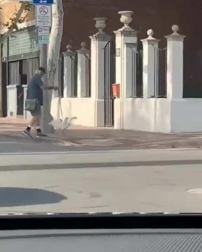 Well, now I've seen everything