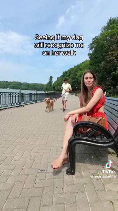 I think that white dog had a vision problem he didn't see his owner he could smell him though