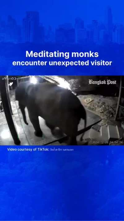 “HEY🤨…..AAAA-🐘” 