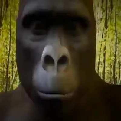 me trying to find out obama's last name