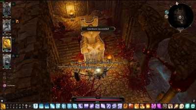 The real co-op experience