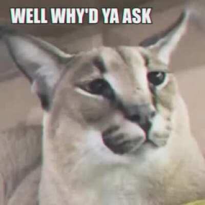 Floppa requires pepoermints