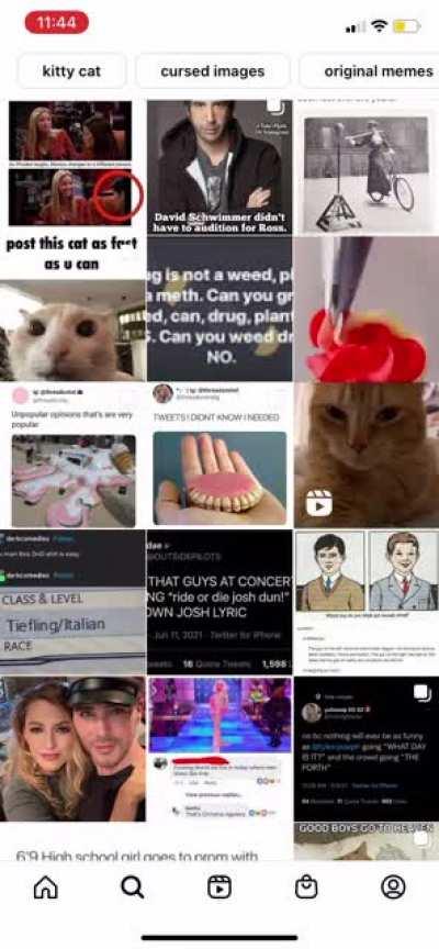 My recommended Insta posts 🥴 that poor cat