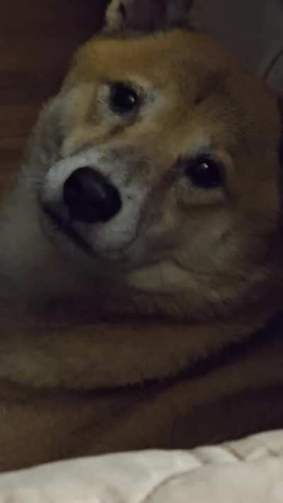 What's does she want 😩