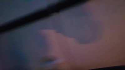 Least distracted driver in Romania