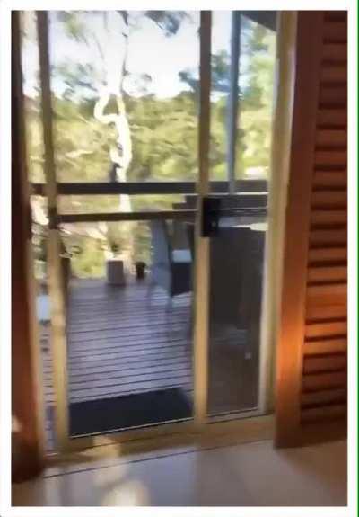 he was offended by the choice of treat