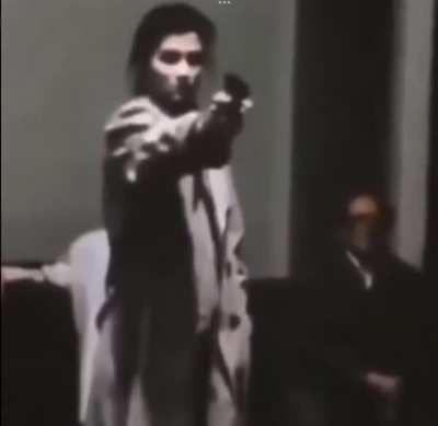 murder for a good reason: Marianne Bachmeier shot & killed the rapist-murderer of her seven year old daughter during his trial in the courtroom.