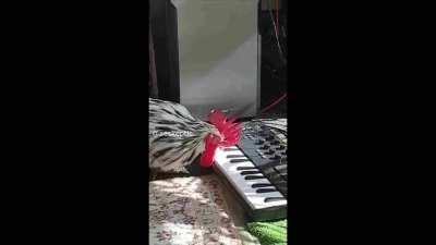 oc (this is my first post :D)