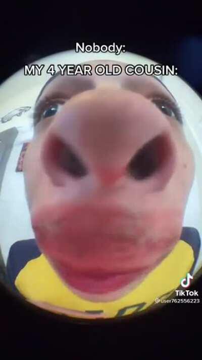 Calfreezy version 79