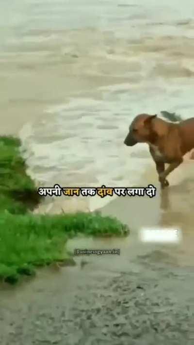 When my friend ask me to motivate him 😂