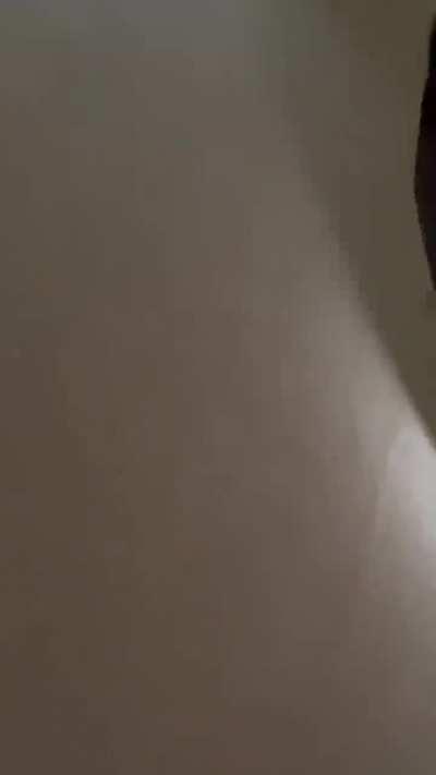 Bro Fuck that car said the seagull