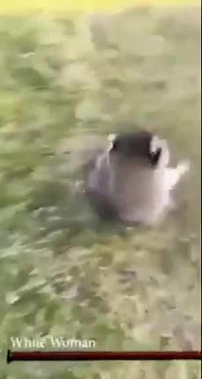 dark souls boss pov: