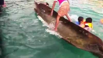 Little girl “unsinks” a canoe
