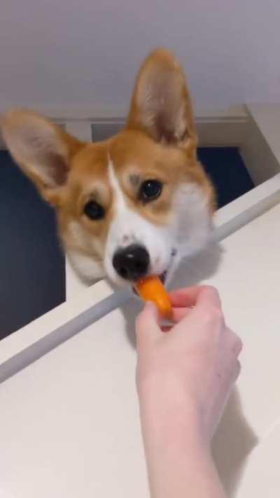 Time to feed the stair gremlin