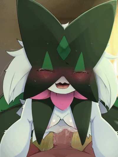 Meowscarada Riding Gif (Dagasi)