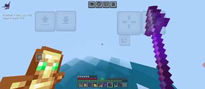 Transport mob with elytra