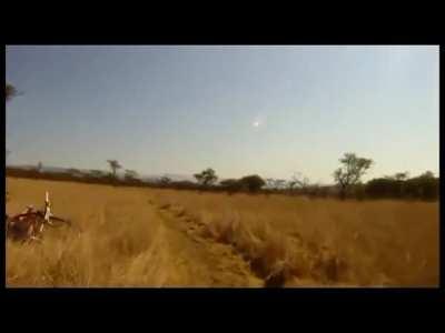 I’ll ride my bike through the African savannah, WCGW?