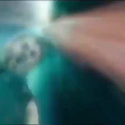 Why is John Halo following Thor and Loki?