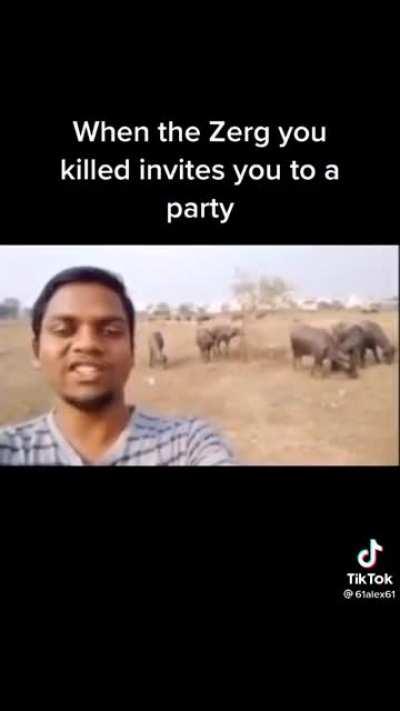 Toxic kids when they join ur party