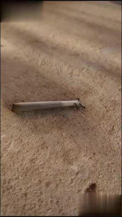 WTF are you doing?? :))