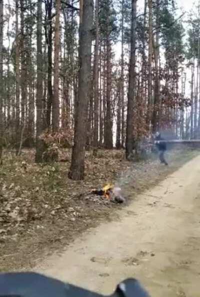 Those trees near Chernobyl sure are tough...