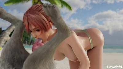 Honoka sucking off doggo (LewdCid)[Dead or Alive]