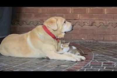 when u make a new friend