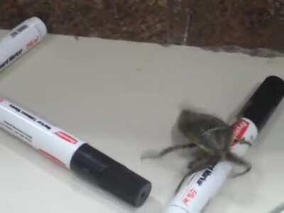 AAAAAAAAAAAAAAAAAAAAAAAAAAAAAAAAAAAAAAAAAAAAAAAAAAAAAAAAAAAAAAAAAAAAAAAAAAAAAAAAAAAA