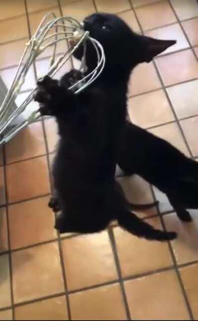 Me wanna licky licky