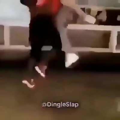 shitposting - Video #4492